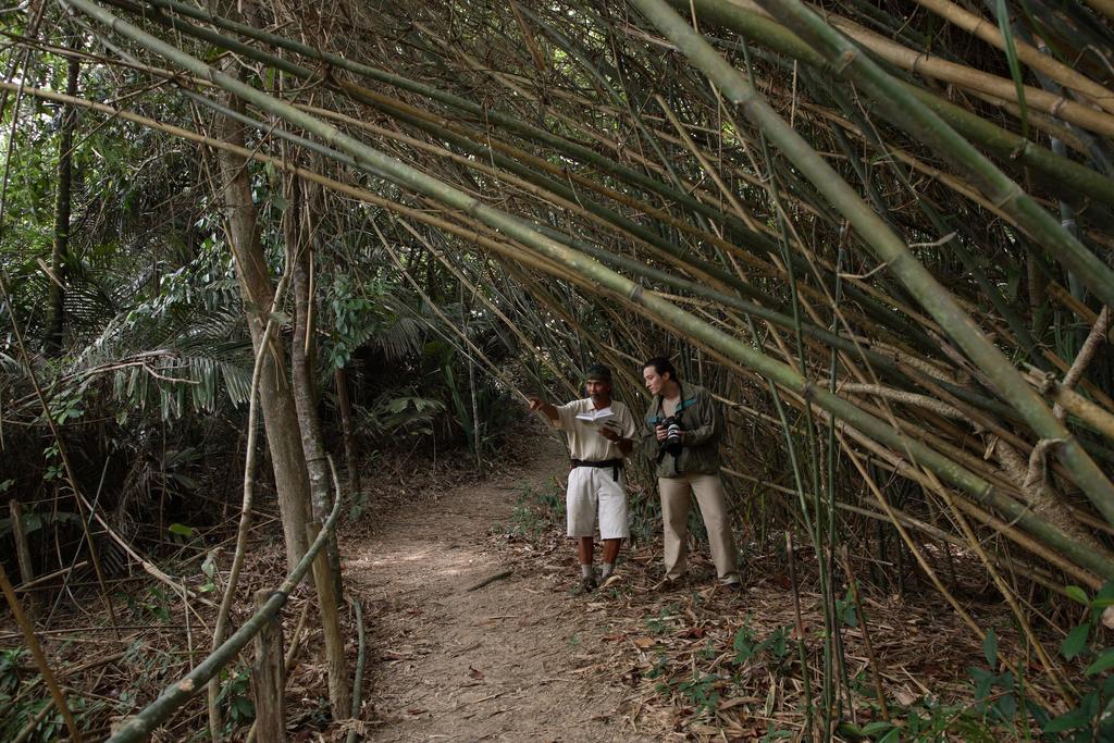 Tanjong Jara Resort, Terengganu - A Small Luxury Hotels Of The World Dungun Bagian luar foto Bamboo forest in the park